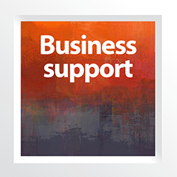 Business support